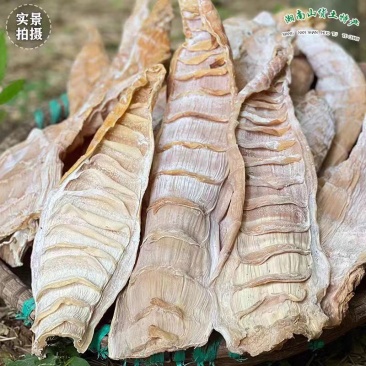 【中长片笋干】湖南基地直供质量保证货源充足欢迎订购