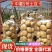 《推荐》中薯5号土豆湖北土豆皮黄型好颜色亮代发全国