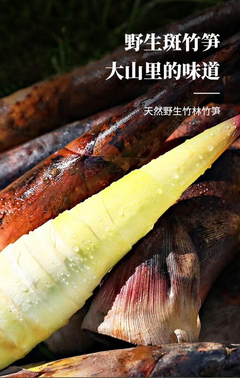【推荐】四川大巴山野生斑竹笋干淡干无盐全干型竹笋干一手货源