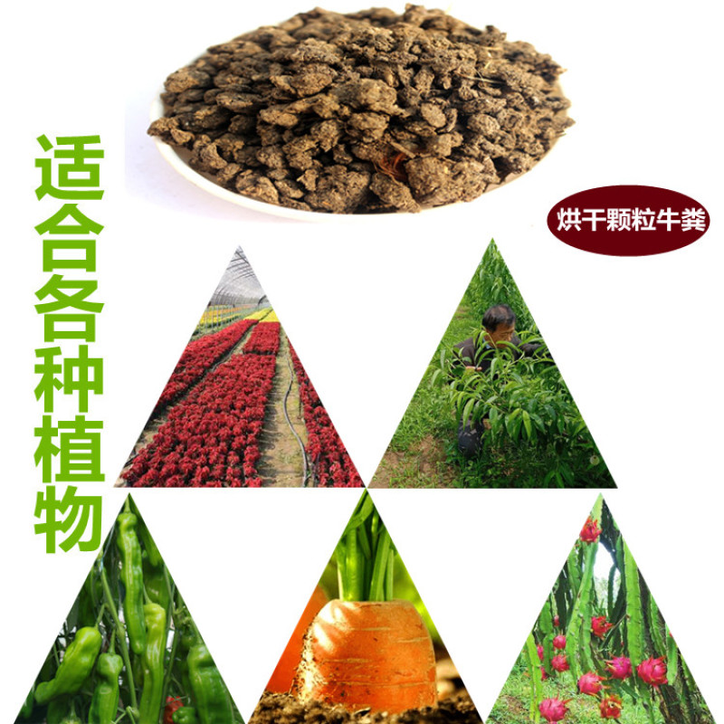 绿沃肥业-干牛粪有机肥料花草蔬菜瓜果天然肥