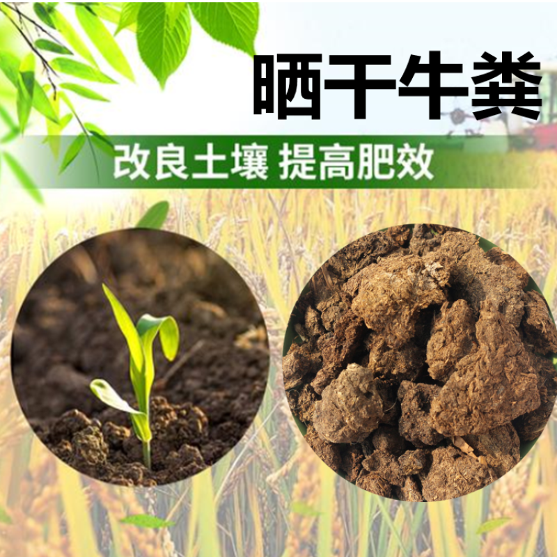 绿沃肥业-干牛粪有机肥料花草蔬菜瓜果天然肥