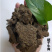 绿沃肥业-干牛粪有机肥料花草蔬菜瓜果天然肥