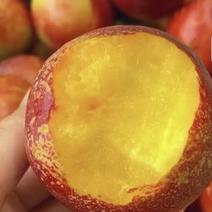 油桃湖北产地精品桃子甜度高直发全国批发商电商欢迎咨询