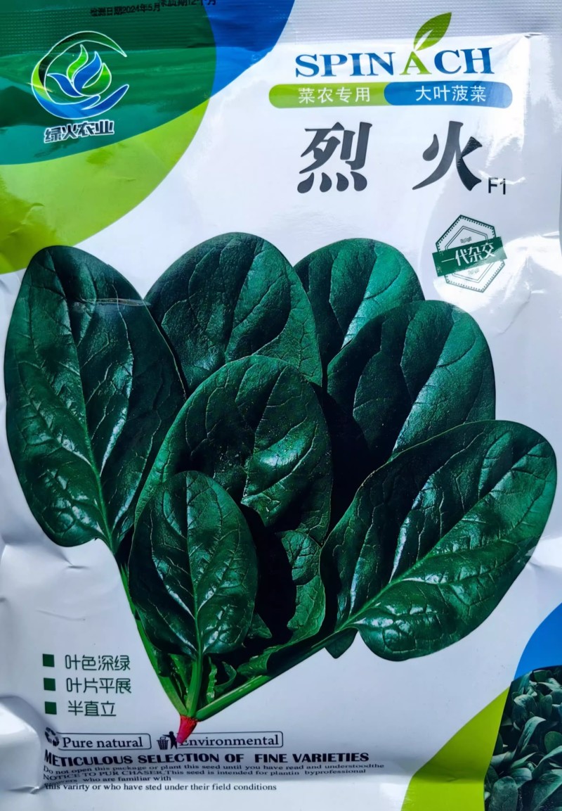 烈火菠菜种子夏季耐热抗病耐抽苔叶片厚杂交大叶