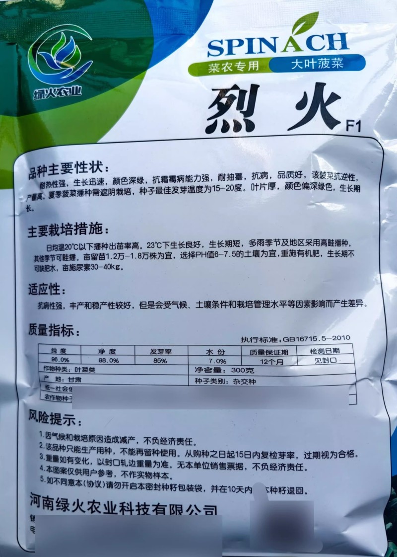 烈火菠菜种子夏季耐热抗病耐抽苔叶片厚杂交大叶