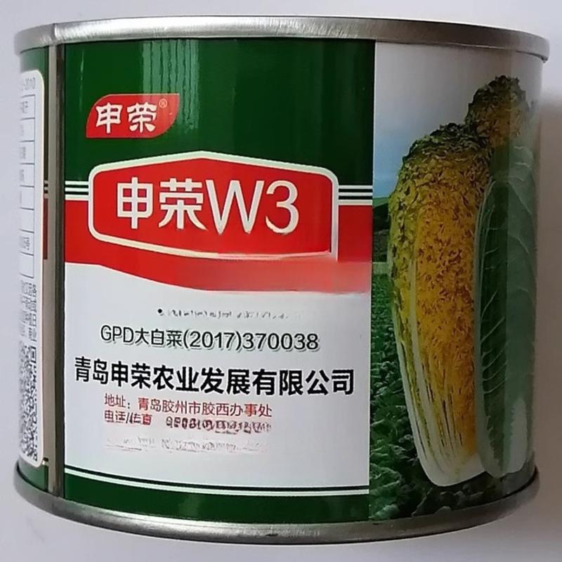 申荣W3娃娃菜种子早熟杂交黄心娃娃菜商品性好耐贮运