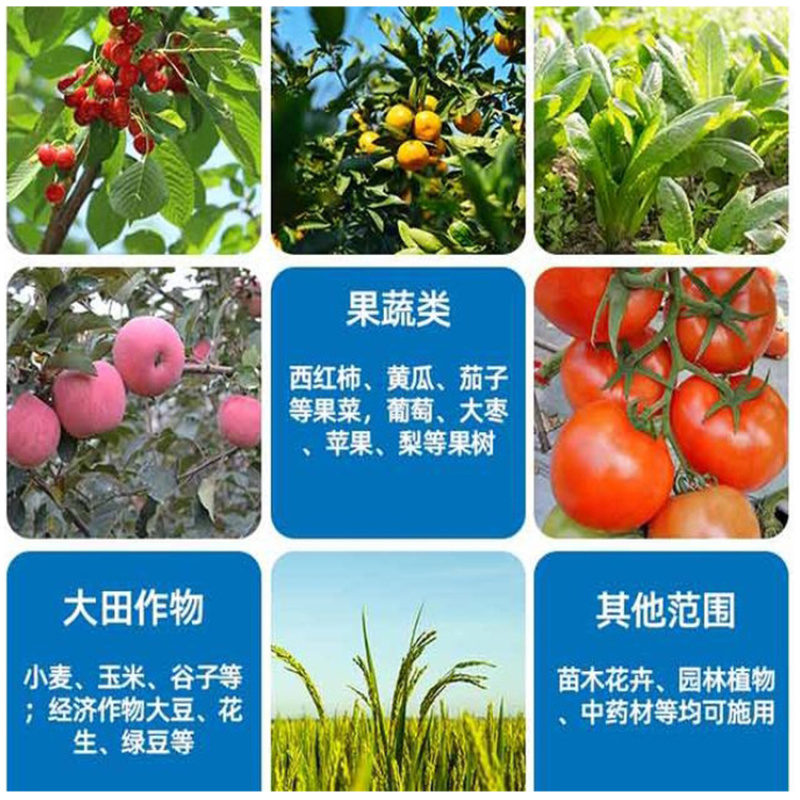 绿沃肥业-干鸡粪块，大量供应好，品质看得见，疏松肥沃
