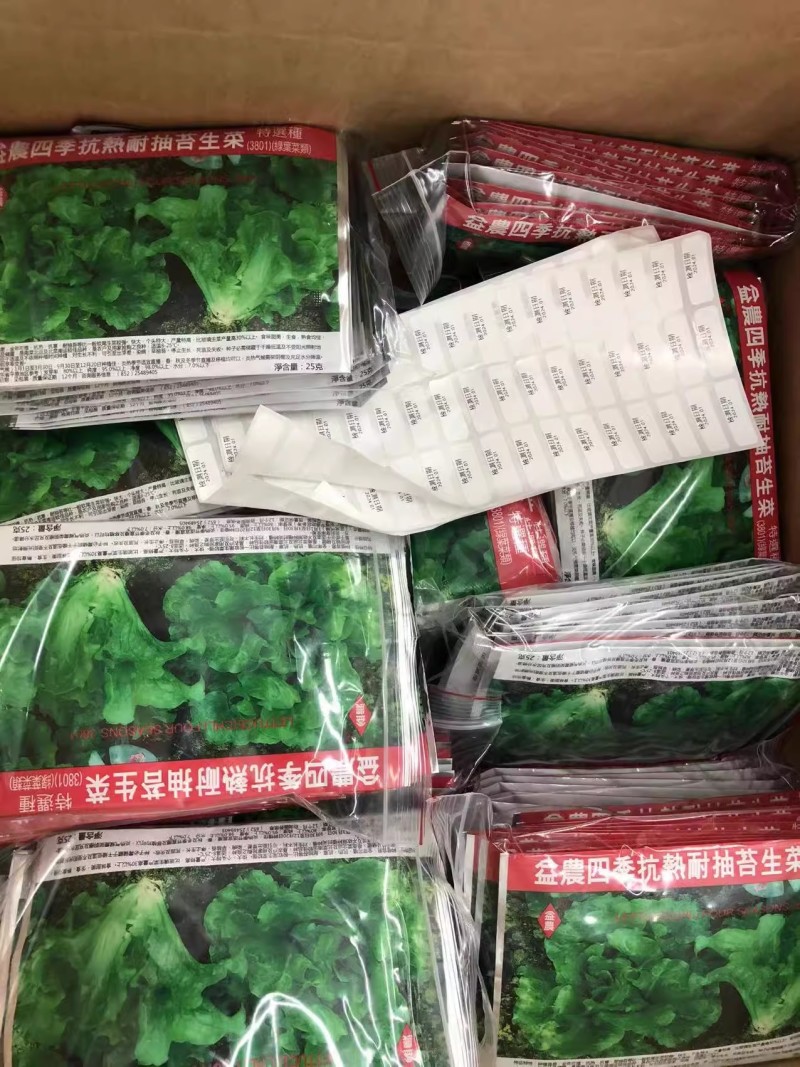 益农四季抗热耐抽苔生菜种子耐热耐寒味甜美基地种植