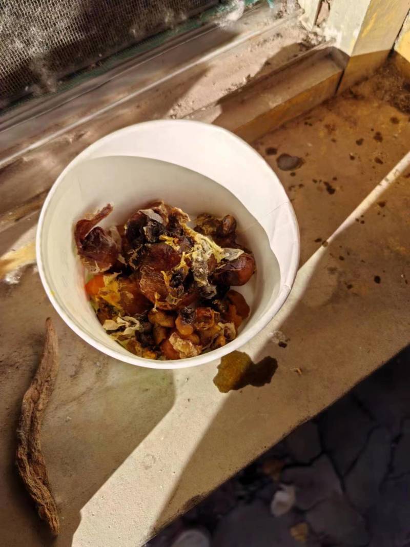 精品鸡宝品质保障诚信经营全国可发货欢迎咨询