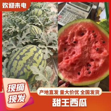 河北甜王西瓜大量供应质量保证对接市场商超等