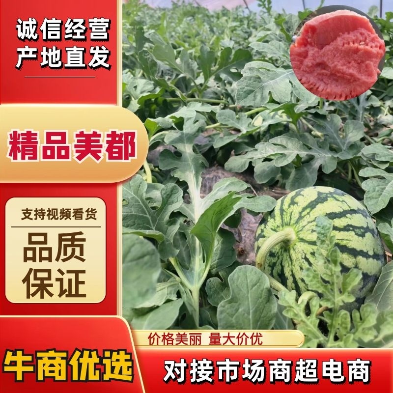 河南精品美都西瓜皮薄多汁品质保障欢迎电联