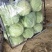 甘蓝定西甘蓝精品货产地直供一手货源量大从优