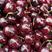 四川精品黑珍珠樱桃支持电商团购一件代发超市直播
