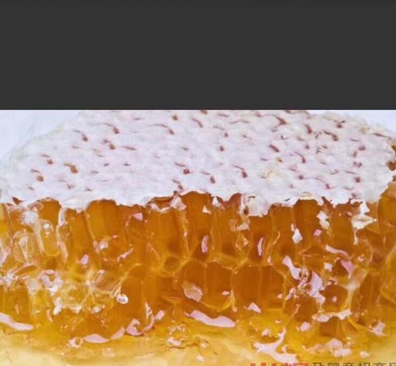 蜂巢野蜂蜜量大质优价格优惠一手货源欢迎咨询采购