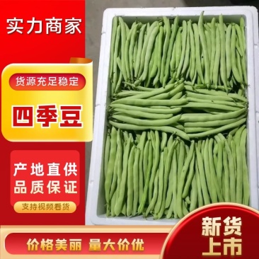 高山四季豆无筋豆，专业合作社种植，品质好价格优