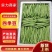 高山四季豆无筋豆，专业合作社种植，品质好价格优
