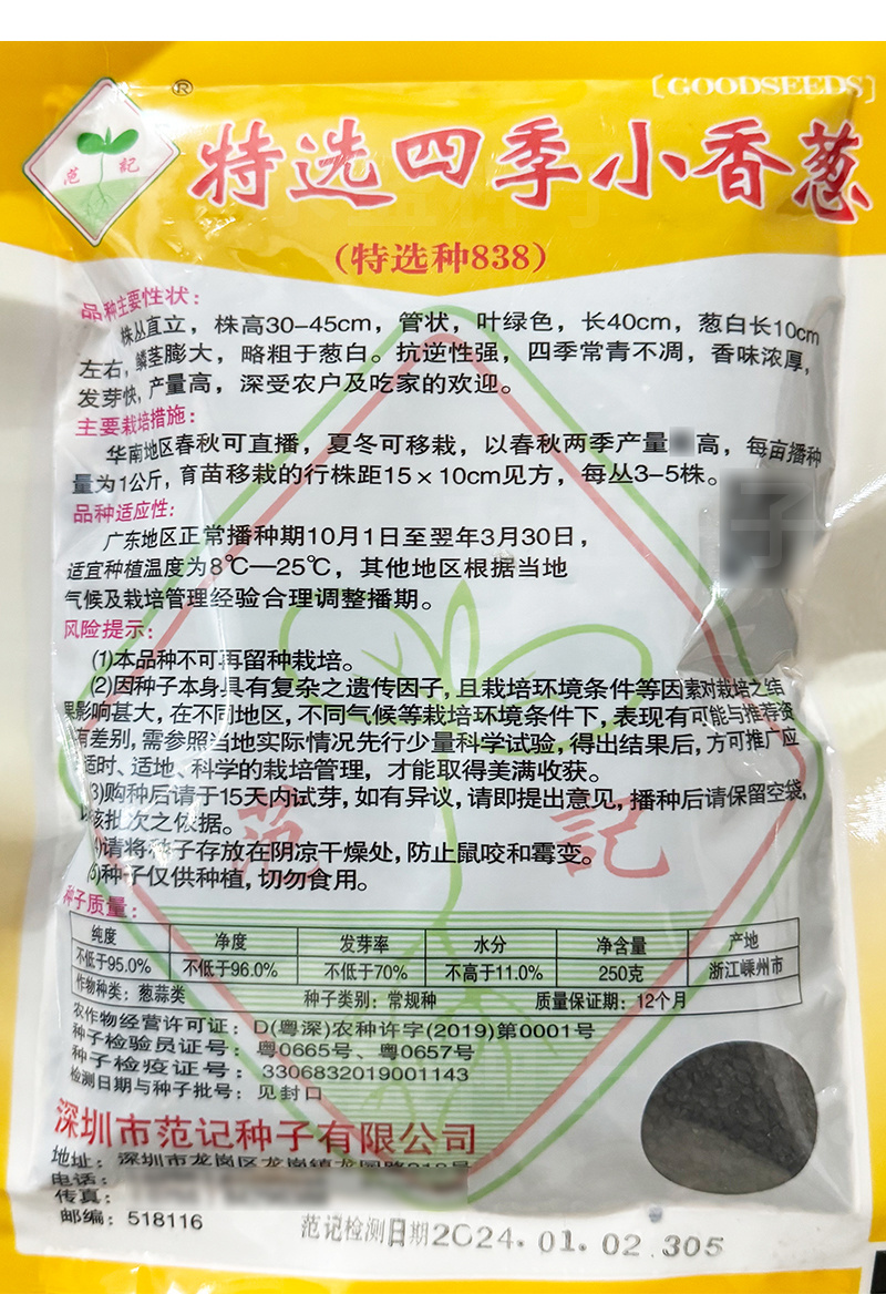 四季小香葱种子直立四季常青不凋香味浓厚基地种植