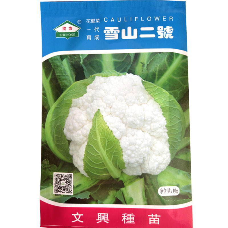 雪山二號70天夏季花椰菜种子白花菜大田早熟耐热耐湿花球紧
