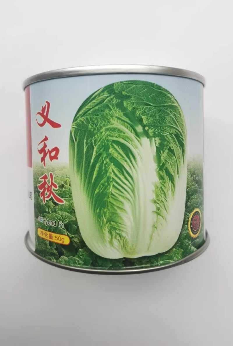小义和秋大白菜种子义和秋大白菜种子秋播冬储基地种植