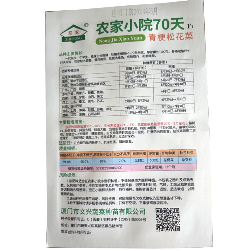 农家小院70天青梗松花菜种子杂交种春秋种植松花菜白色基地