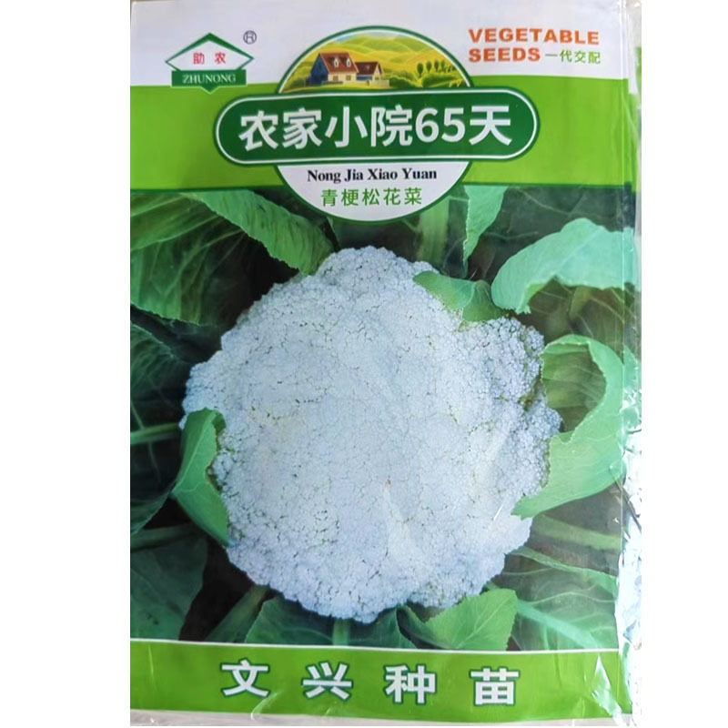 农家小院65天青梗松花菜种子花椰菜白花耐热春秋种植四季蔬