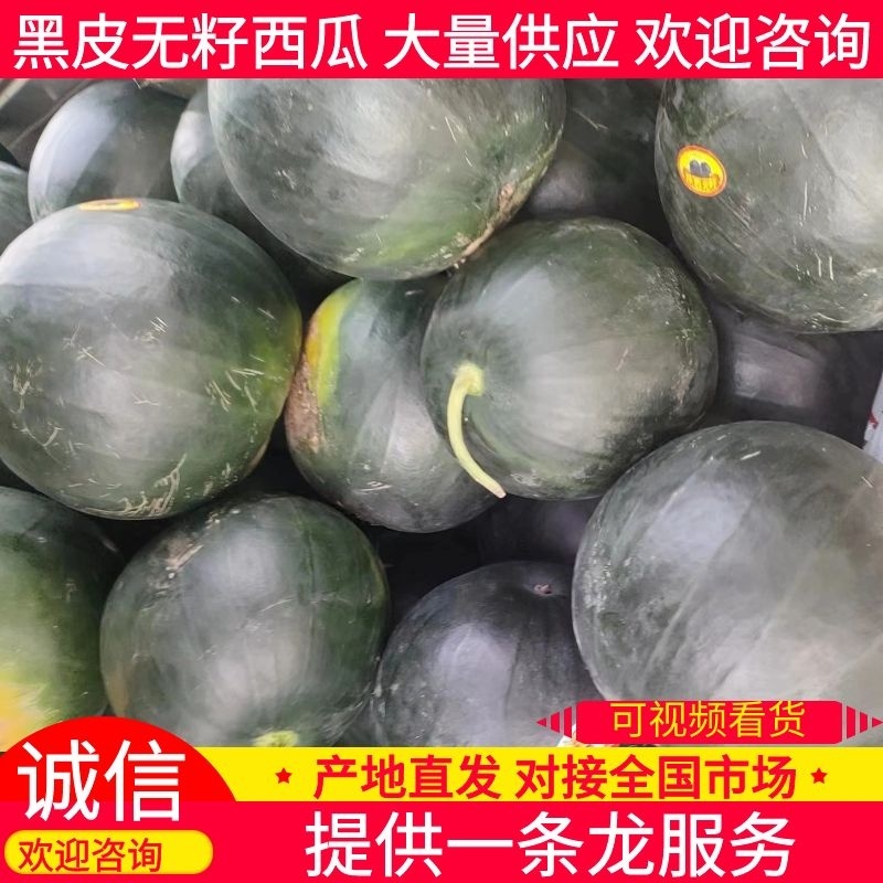 无籽西瓜陕西西瓜黑皮无籽西瓜规格齐全支持视频看货