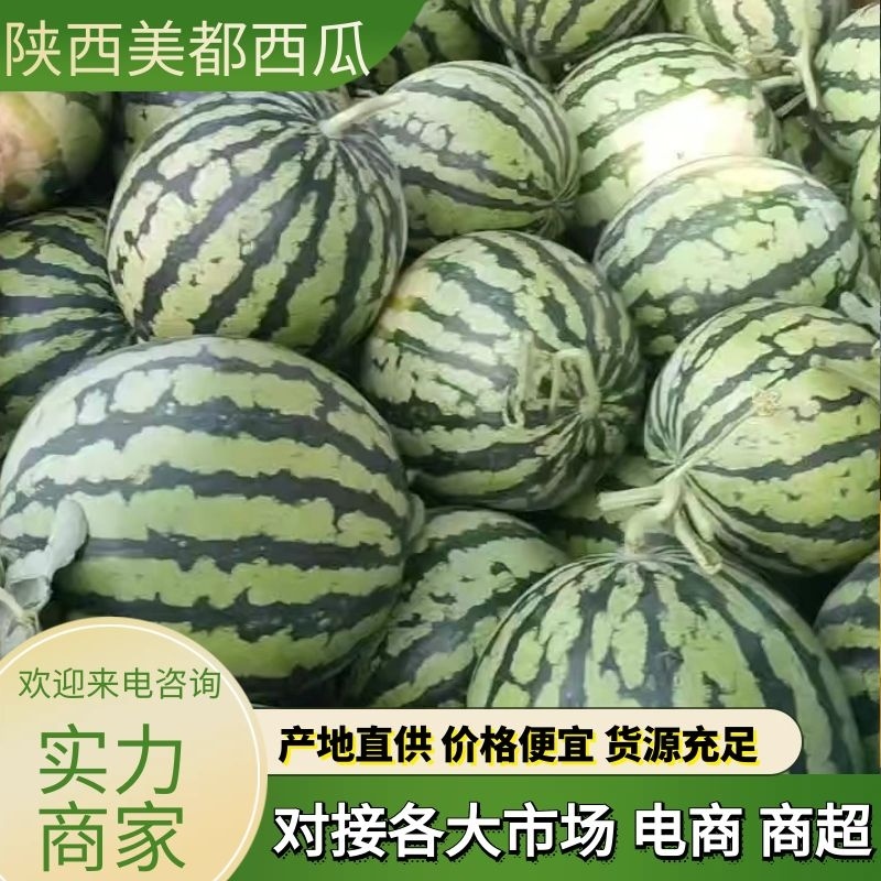 美都西瓜陕西西瓜规格齐全支持视频看货代发