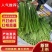 通许精品红帽蒜苔，现摘现发，产地直供，质量保证全国发货