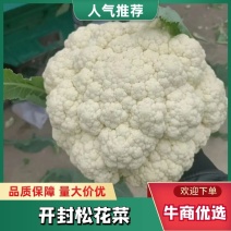 【实力】松花菜白面青梗有机花菜大量新鲜供应，对接全国商超