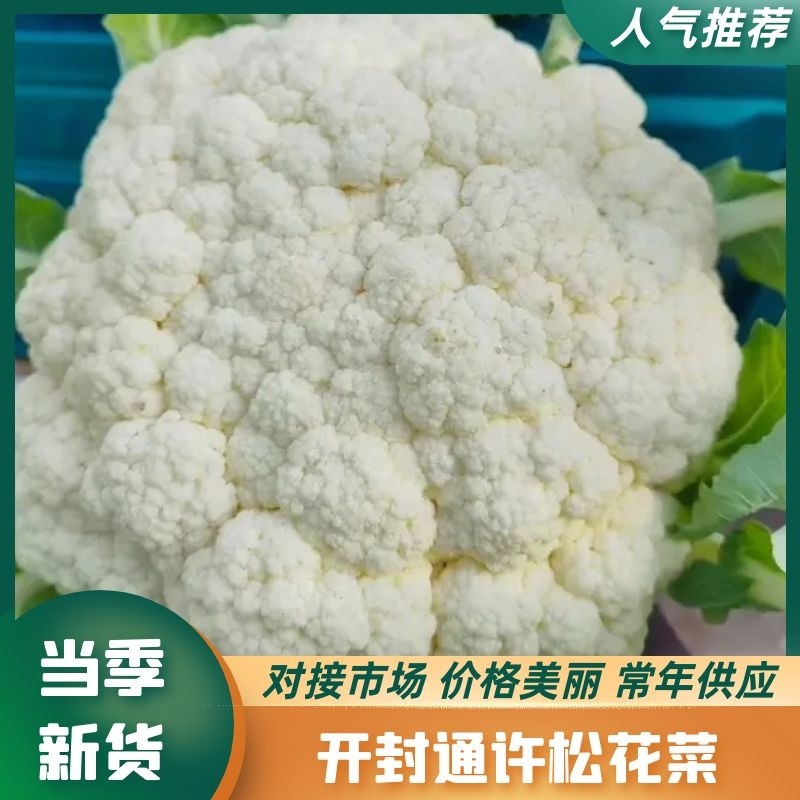 【实力】松花菜白面青梗有机花菜大量新鲜供应，对接全国商超