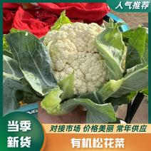 【牛】精品有机花菜，价格美丽量大从优，对接全国商超批发