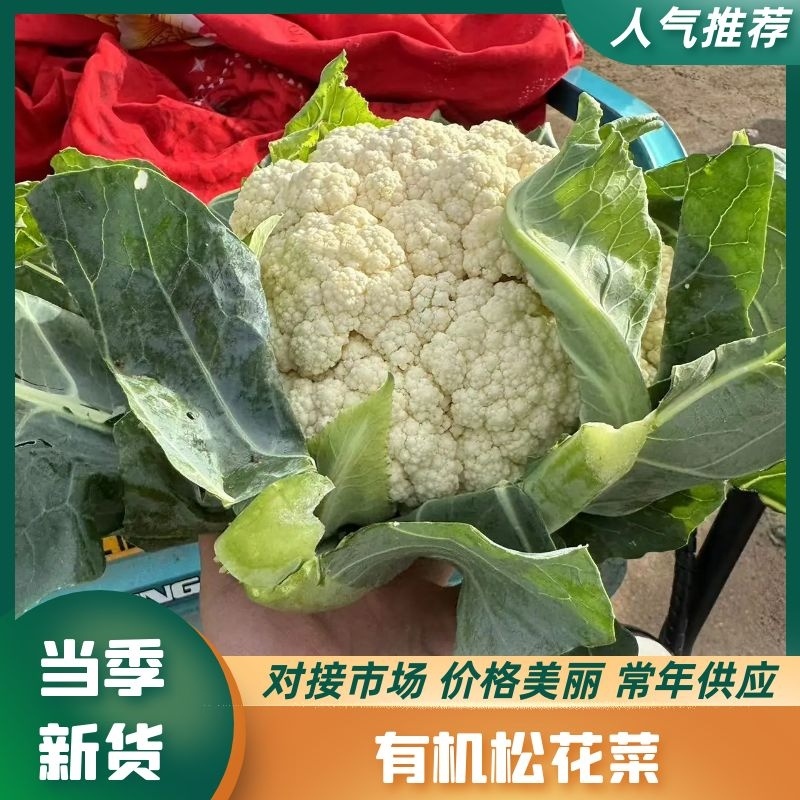 【牛】精品有机花菜，价格美丽量大从优，对接全国商超批发