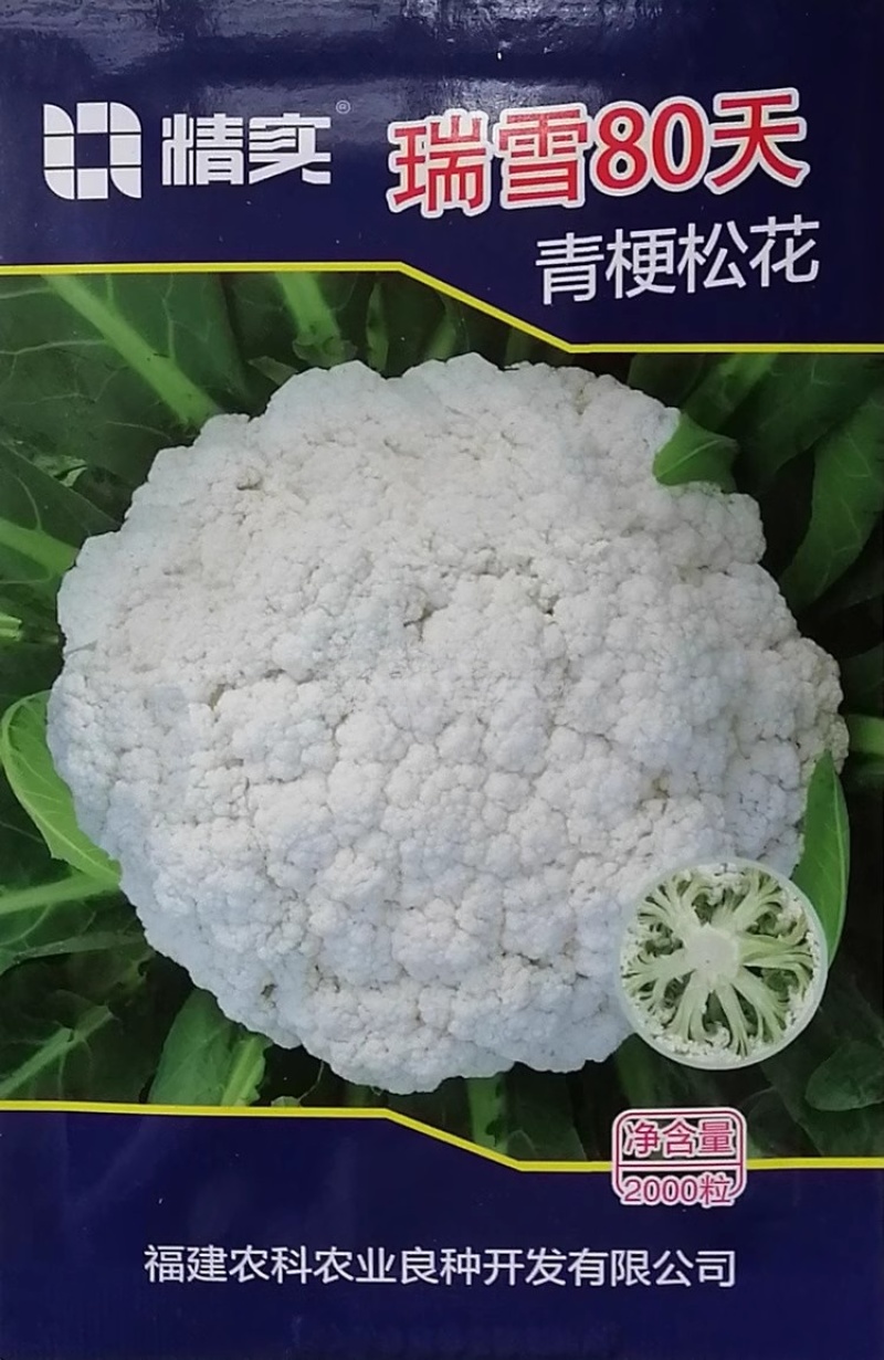 瑞雪松花菜种子较耐热耐湿花球松大花雷白青梗基地种