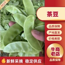 扁豆茶豆江苏淮安绿扁豆大量供应中产地直发品质保障