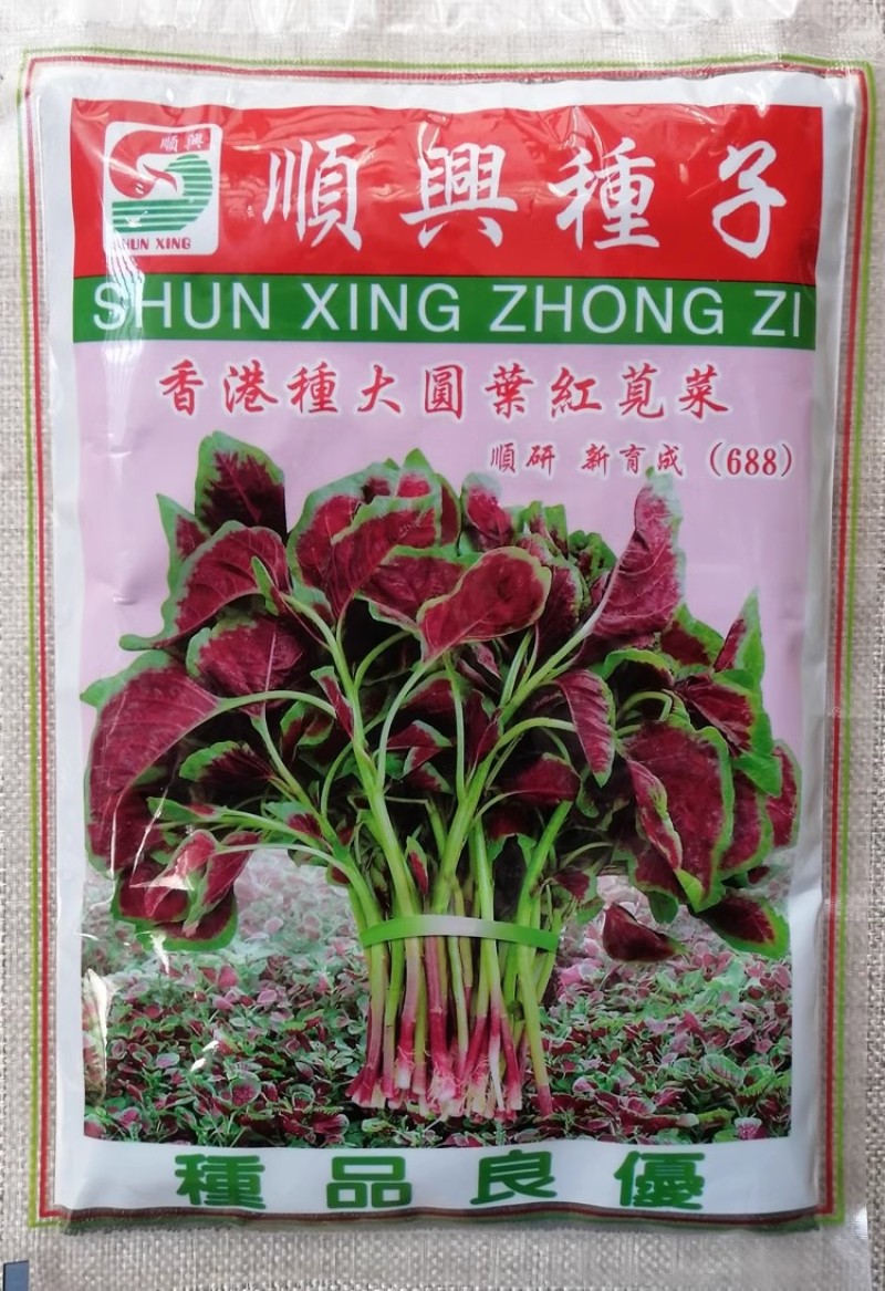 香港种大圆叶红苋菜种子耐热耐寒耐湿抗病抗虫四季种植