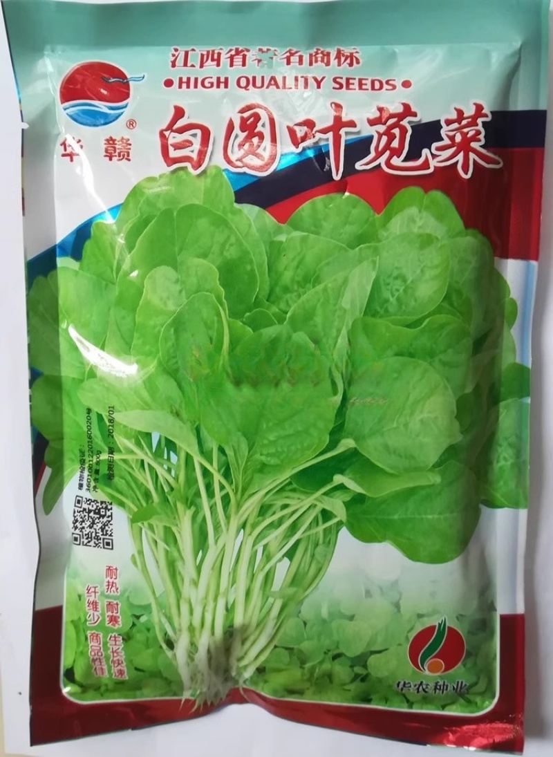 香港种大圆叶红苋菜种子耐热耐寒耐湿抗病抗虫四季种植