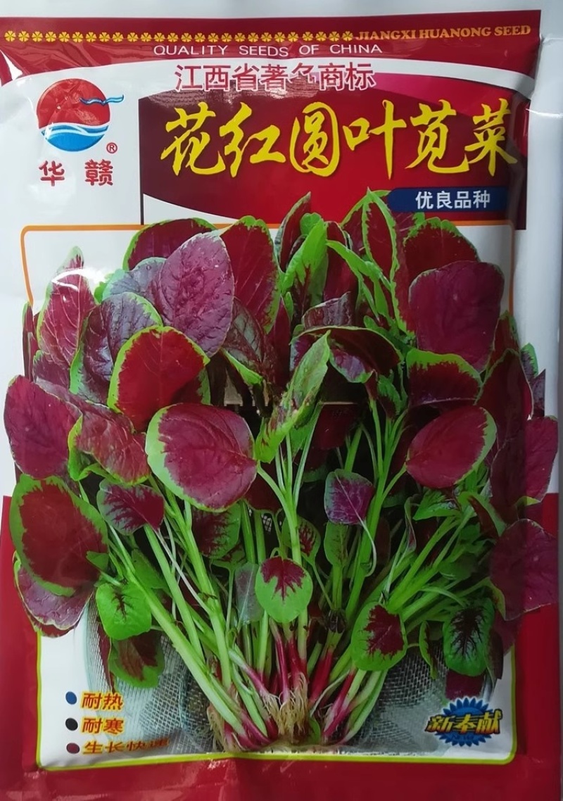 香港种大圆叶红苋菜种子耐热耐寒耐湿抗病抗虫四季种植