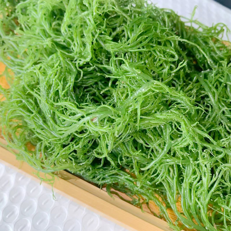 鹿角菜，龙须菜，石花菜