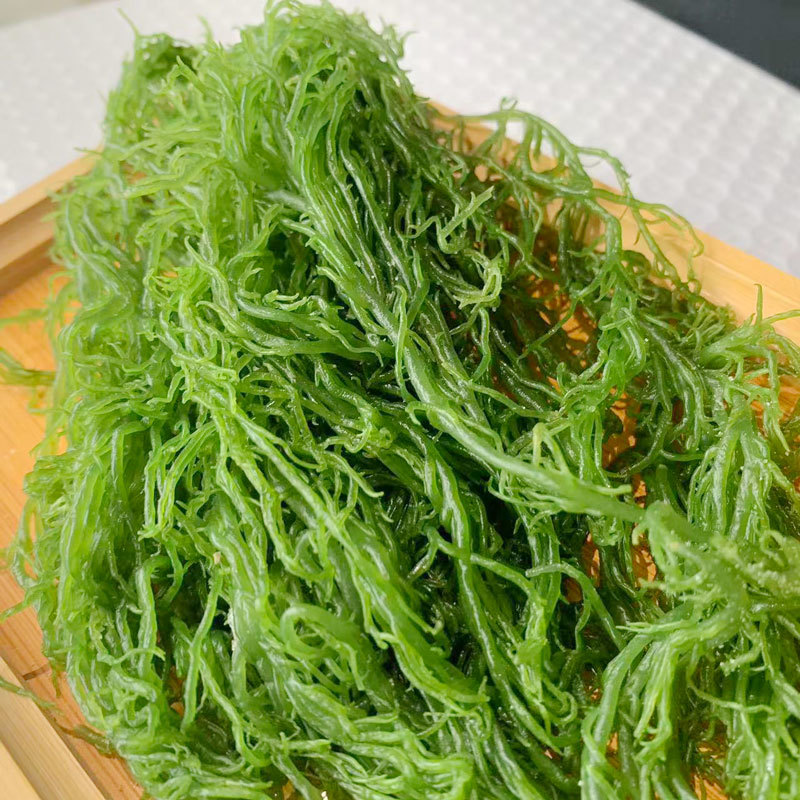 鹿角菜，龙须菜，石花菜