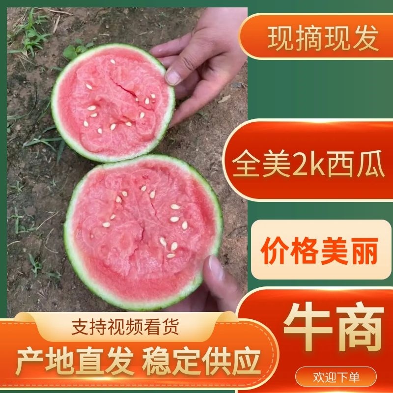 河北小吊瓜，全美2k，L600产地直供皮薄多汁甜度高
