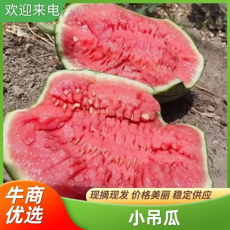 甜王西瓜大量上市中产地直供甜度高耐运输欢迎咨询