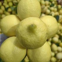 四川精品安岳柠檬现摘现发皮薄多汁来电商超品质