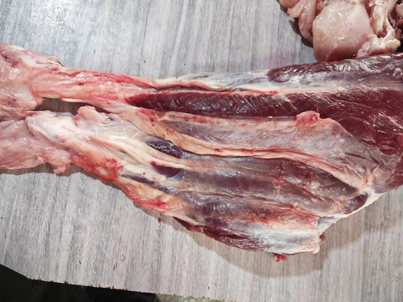 贵州牛腱子肉量大质优价格优惠品质靠谱欢迎电联