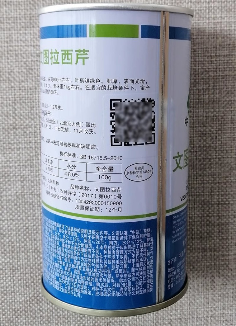 文图拉西芹种子质地脆嫩纤维少叶柄浅绿肥厚基地种植