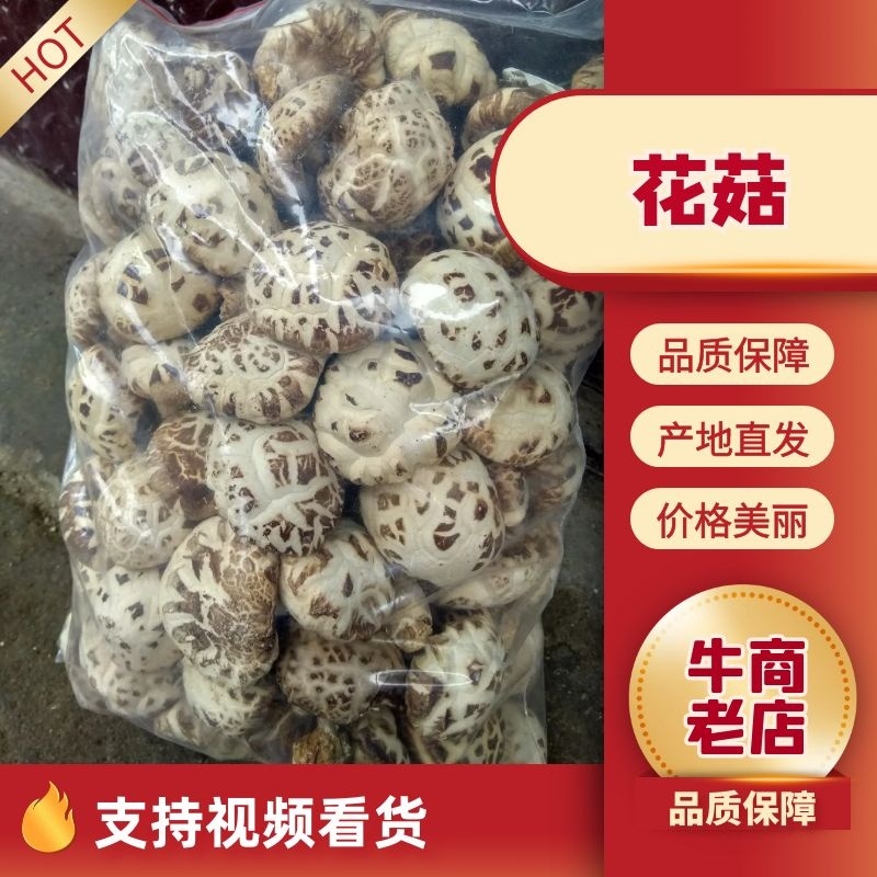泌阳花菇甲天下精品花菇正在加工待发中大量供应原产地货源
