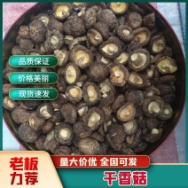 春栽冬菇，肉质淳厚，朵形规正，生物质燃料烘焙，出售正当时