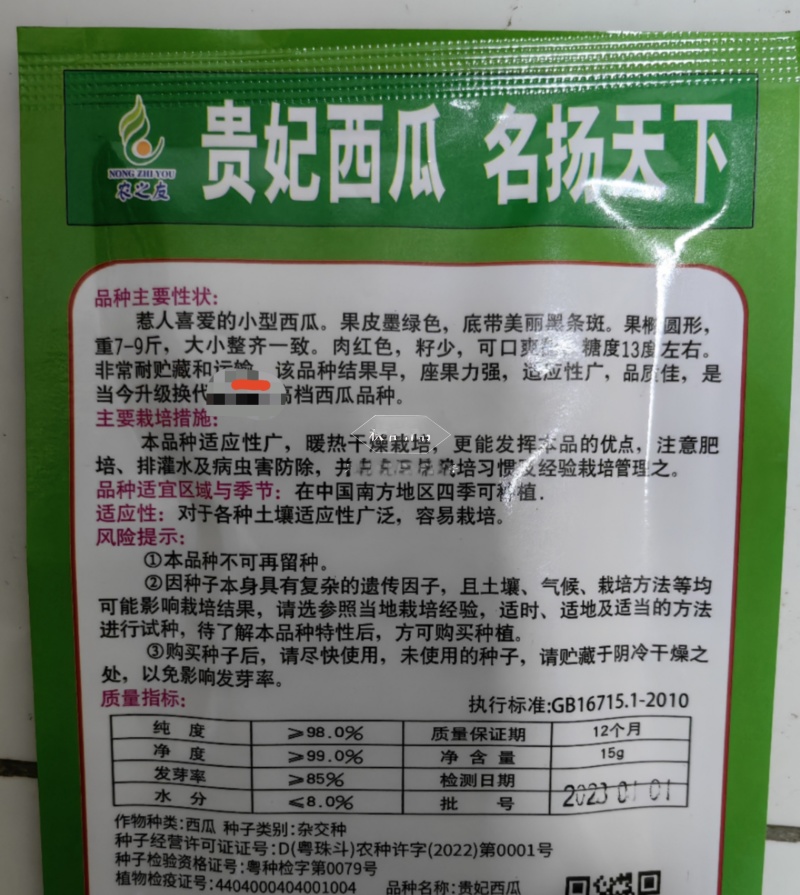 黑美人西瓜种子抗病耐裂果皮墨绿果肉深红皮薄坚韧