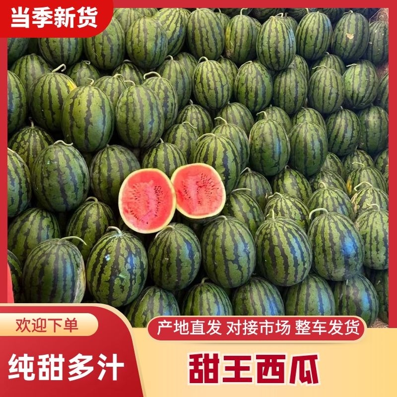 【实力】砀山甜王西瓜精品西瓜一手货源电商直供欢迎选购