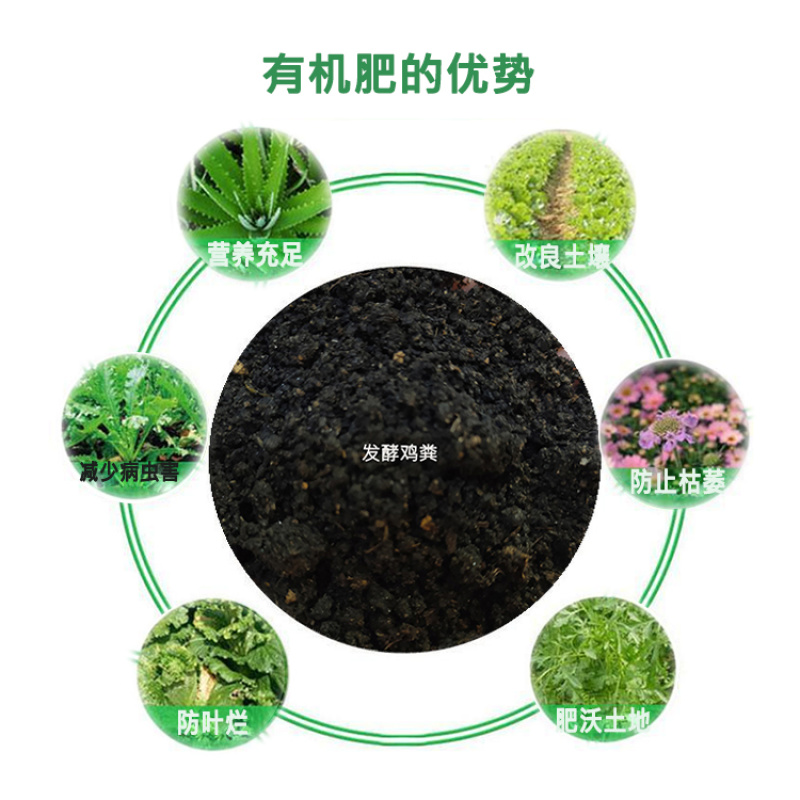 绿沃肥业-发酵鸡粪有机肥疏松土壤补充营养量大优惠