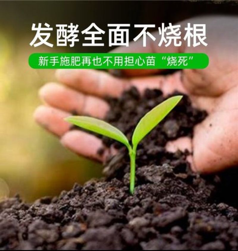 绿沃肥业-发酵鸡粪有机肥疏松土壤补充营养量大优惠